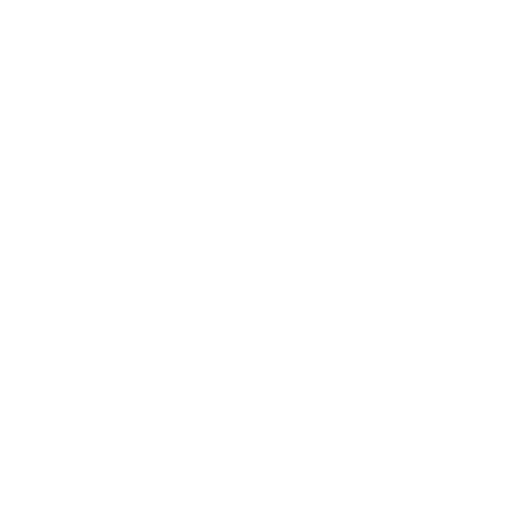 Prisma IT